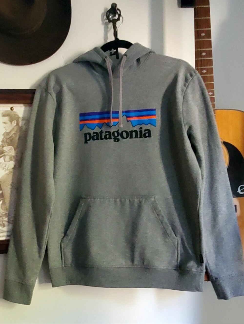 Patagonia Gray Hoodie with Blue and Orange Stripe Graphic